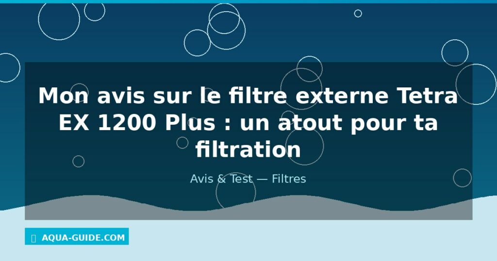Mon avis sur le filtre externe Tetra EX 1200 Plus : un atout pour ta filtration