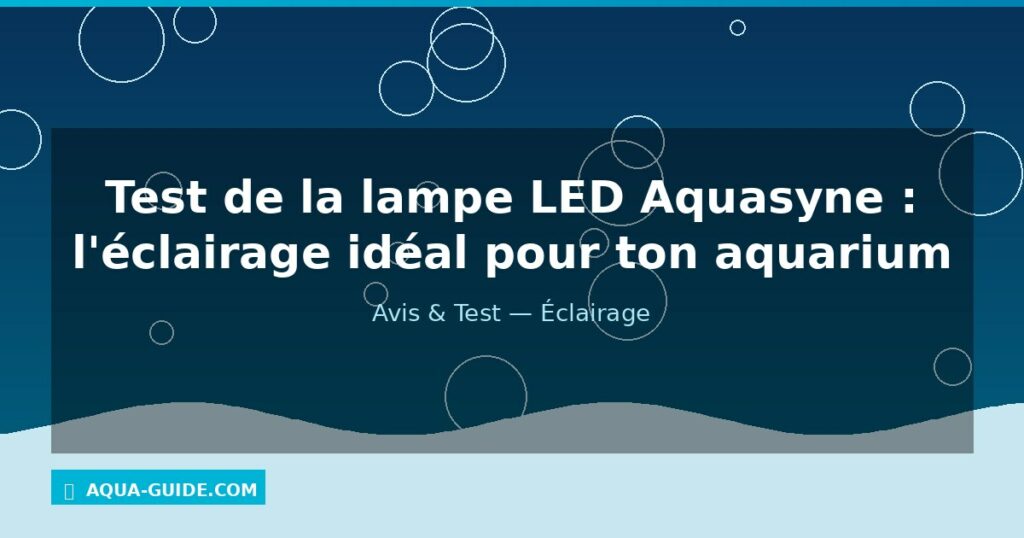 Test de la lampe LED Aquasyne : l'éclairage idéal pour ton aquarium