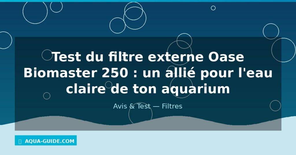 Test du filtre externe Oase Biomaster 250 : un allié pour l'eau claire de ton aquarium