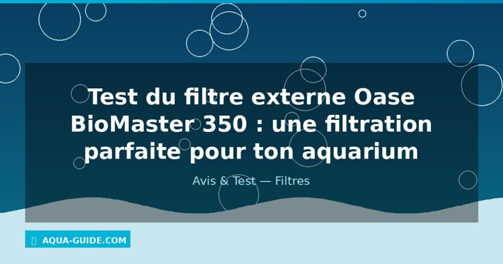 Test du filtre externe Oase BioMaster 350 : une filtration parfaite pour ton aquarium
