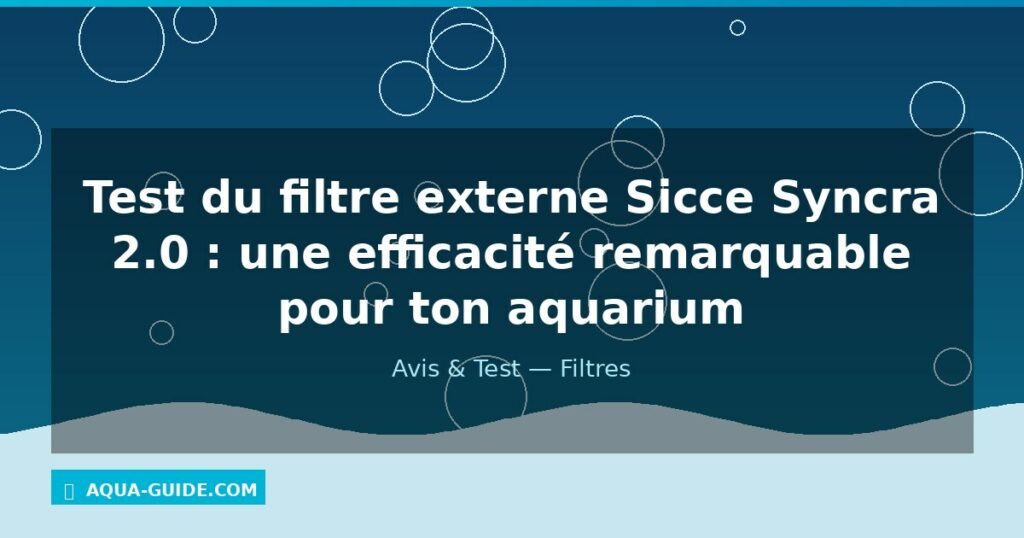 Test du filtre externe Sicce Syncra 2.0 : une efficacité remarquable pour ton aquarium