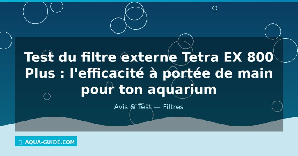 Test du filtre externe Tetra EX 800 Plus : l'efficacité à portée de main pour ton aquarium