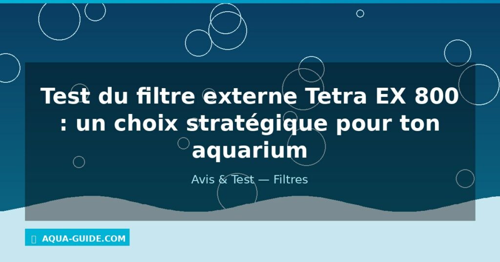 Test du filtre externe Tetra EX 800 : un choix stratégique pour ton aquarium