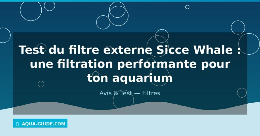 Test du filtre externe Sicce Whale : une filtration performante pour ton aquarium