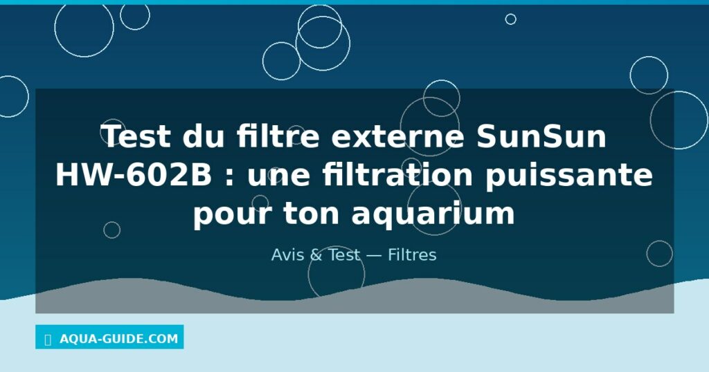 Test du filtre externe SunSun HW-602B : une filtration puissante pour ton aquarium