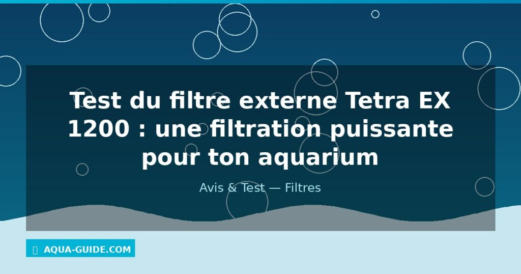 Test du filtre externe Tetra EX 1200 : une filtration puissante pour ton aquarium