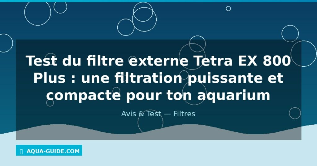 Test du filtre externe Tetra EX 800 Plus : une filtration puissante et compacte pour ton aquarium