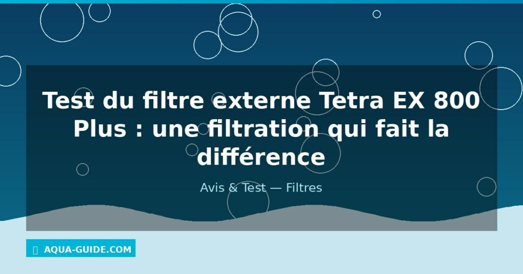 Test du filtre externe Tetra EX 800 Plus : une filtration qui fait la différence